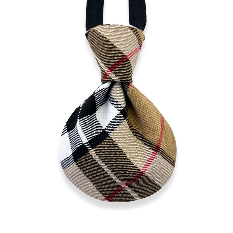 トムソンキャメル