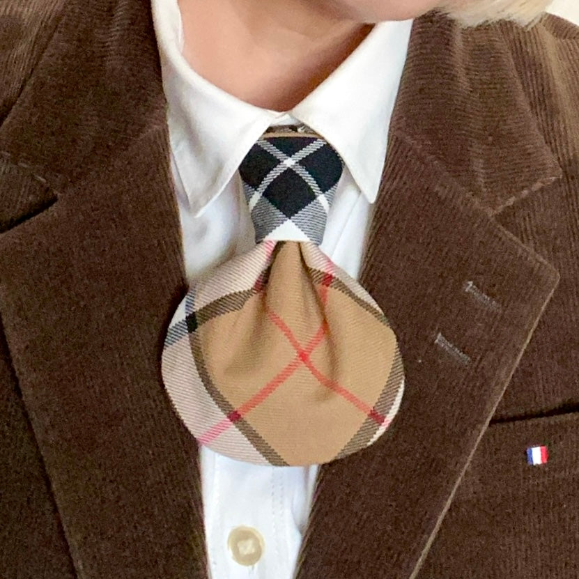 トムソンキャメル